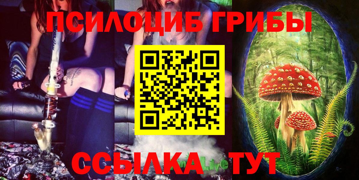 Галлюциногенные грибы ЛСД Луга