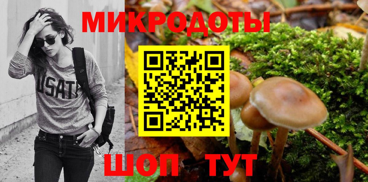 Луга  Галлюциногенные грибы Psilocybine cubensis  Вход с VPN 